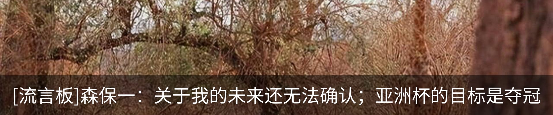 资讯中心